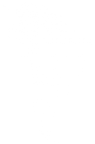 sustainable pima cotton production in peru sustainable pima cotton production in peru