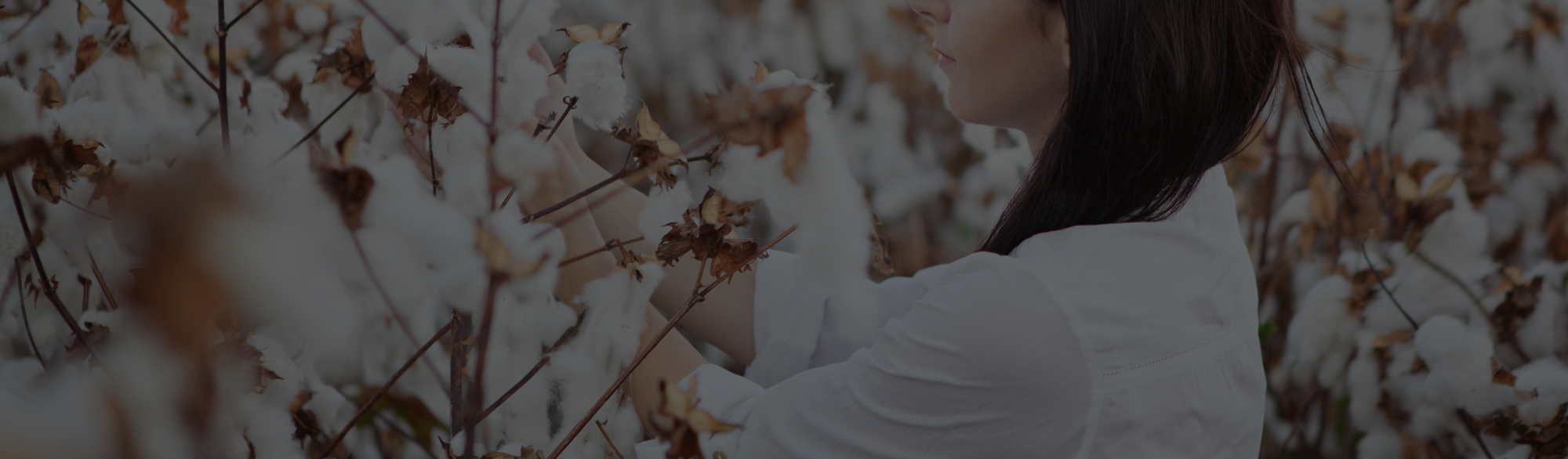 Peruvian Pima Cotton Clothing Factory LYON Apparel Manufacturing